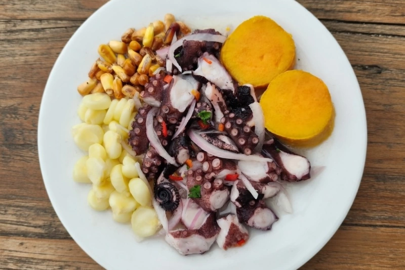 Delicioso ceviche de pulpo fresco y colorido en un plato